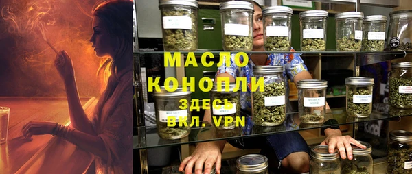 крисы Богородск