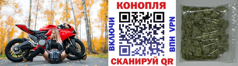 где продают   Троицк  Бошки Шишки Amnesia 